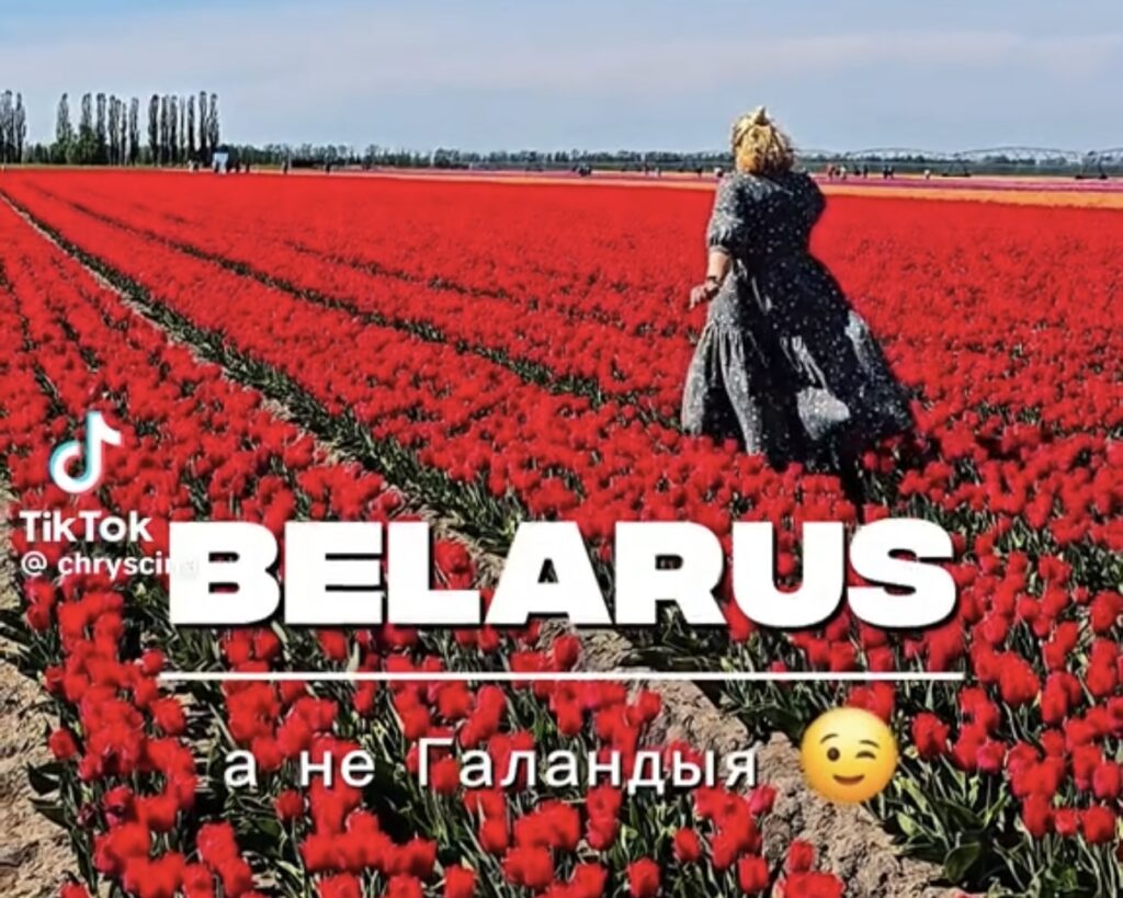 «Белорусская Голландия». В TikTok показали локацию для самых эстетичных фотографий