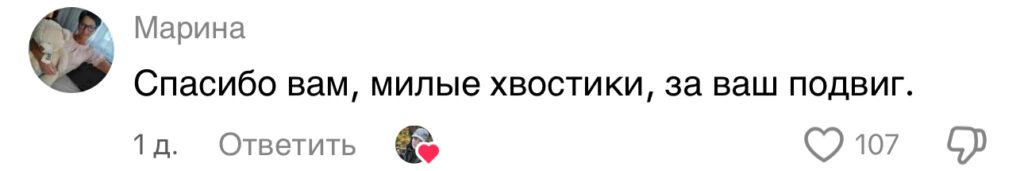 комментарий