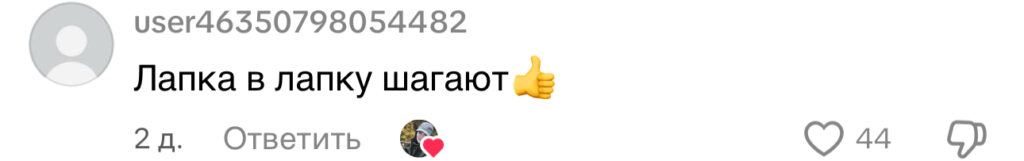 комментарий