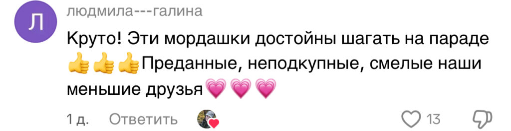 комментарий