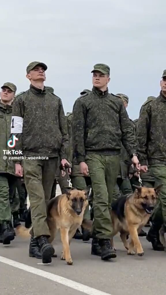 парад