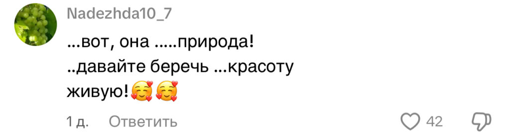 комментарий
