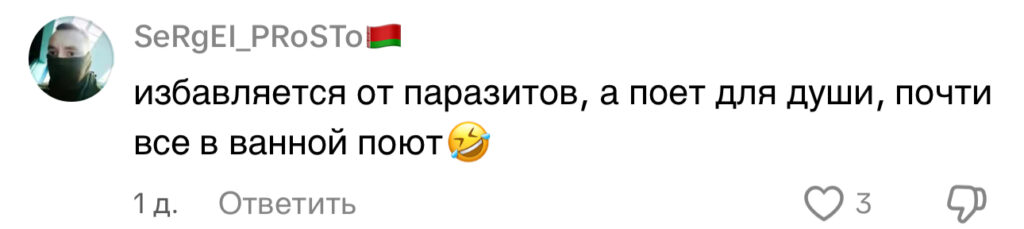 комментарий