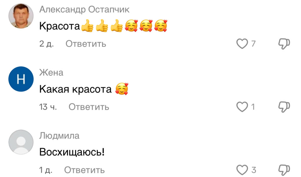 комментарий
