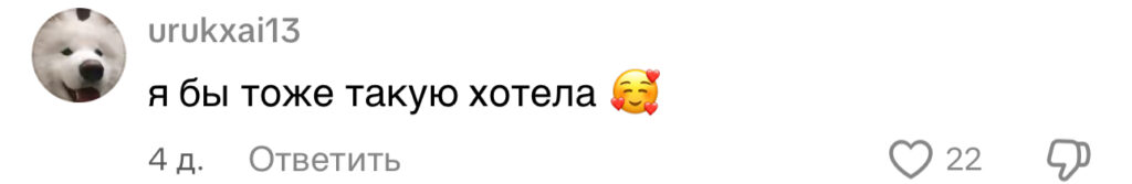 комментарий