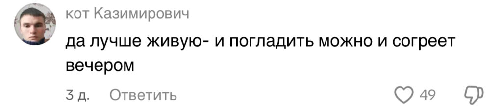 комментарий