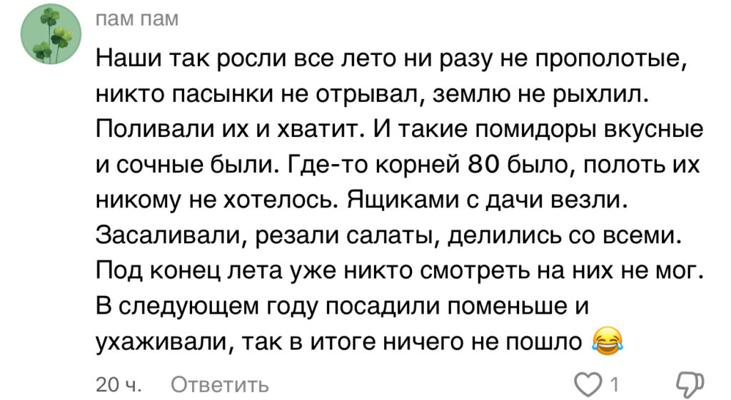 комментарий