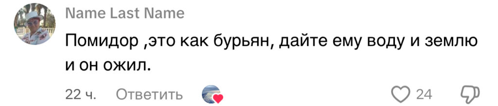 комментарий