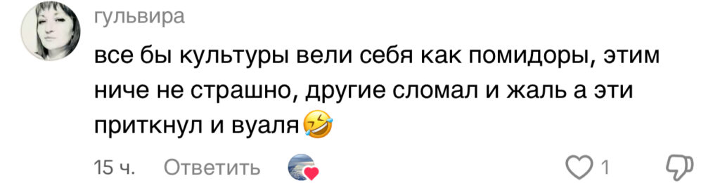 комментарий