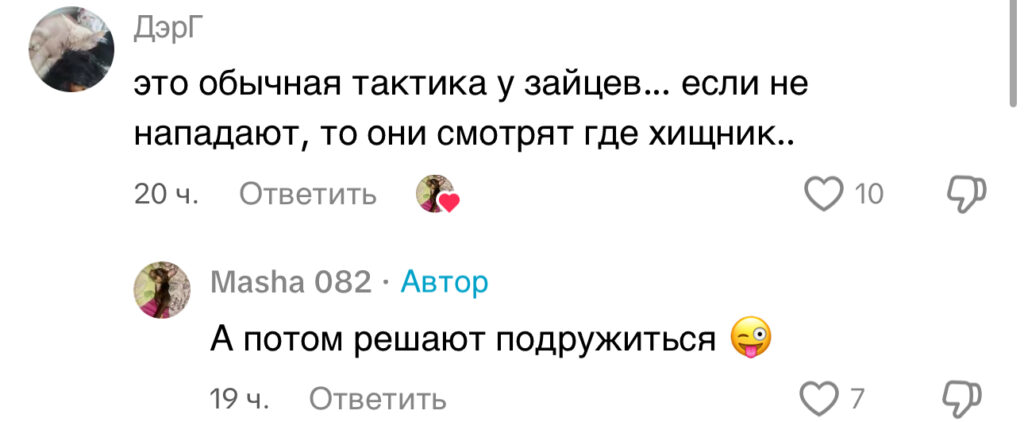 комментарий