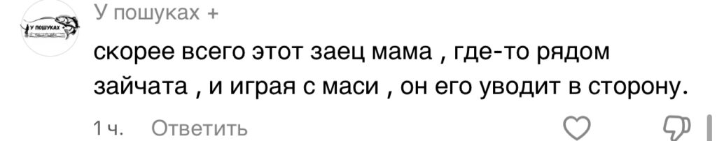 комментарий