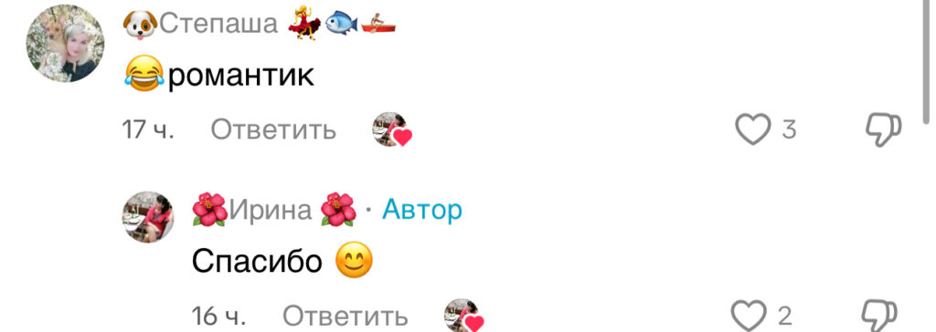 комментарий