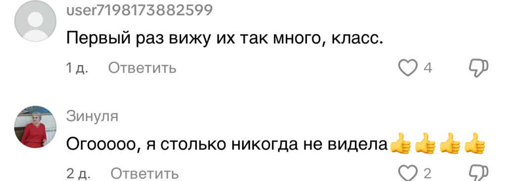 комментарий