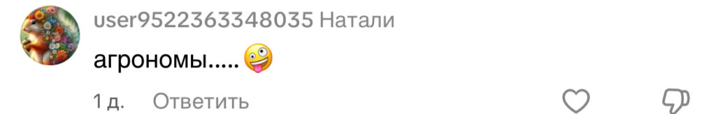 комментарий