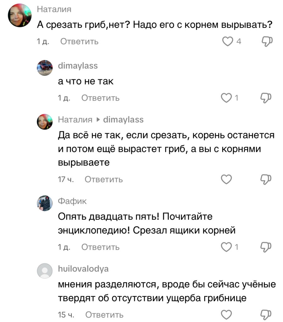 комментарий