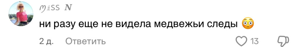 комментарий