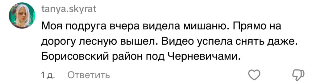 комментарий