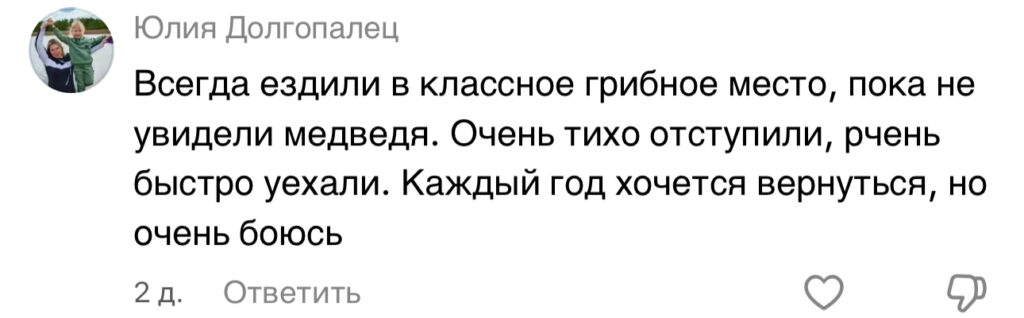 комментарий