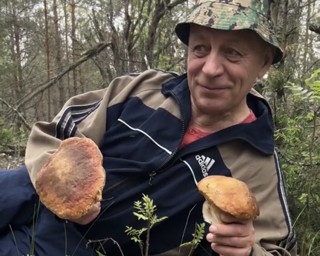 Лесникам из Минской области медведи не дают собирать грибы