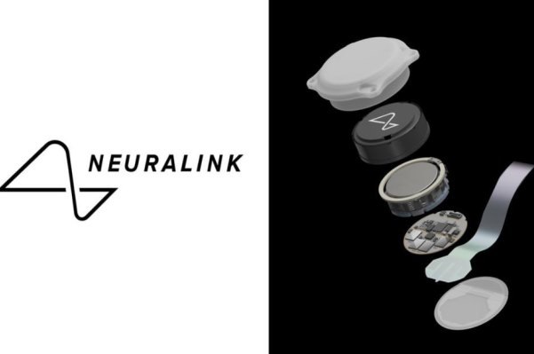 Маск рассказал, когда Neuralink вживит первый возвращающий зрение чип