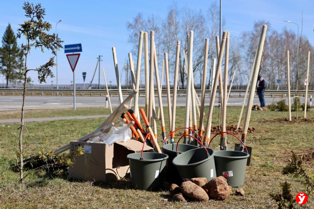В Минской области 17 мая наведут порядок в поселках и агрогородках
