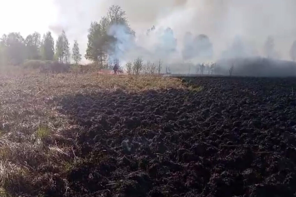 В Крупском лесхозе горело болото