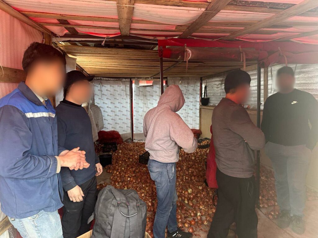 Работали не по профилю: в Минском районе задержаны мигранты без разрешения
