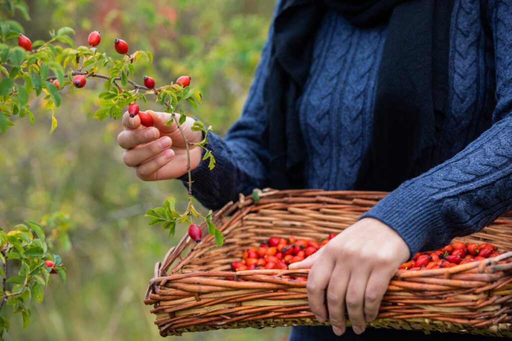 Названы продукты с высоким содержанием витамина C