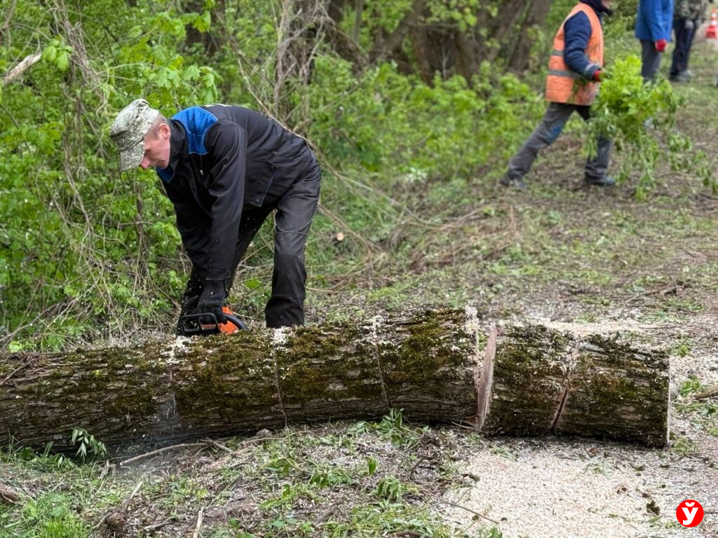 Дзержинск субботник