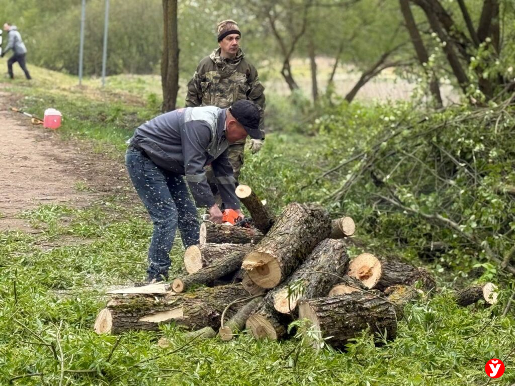 Дзержинск субботник