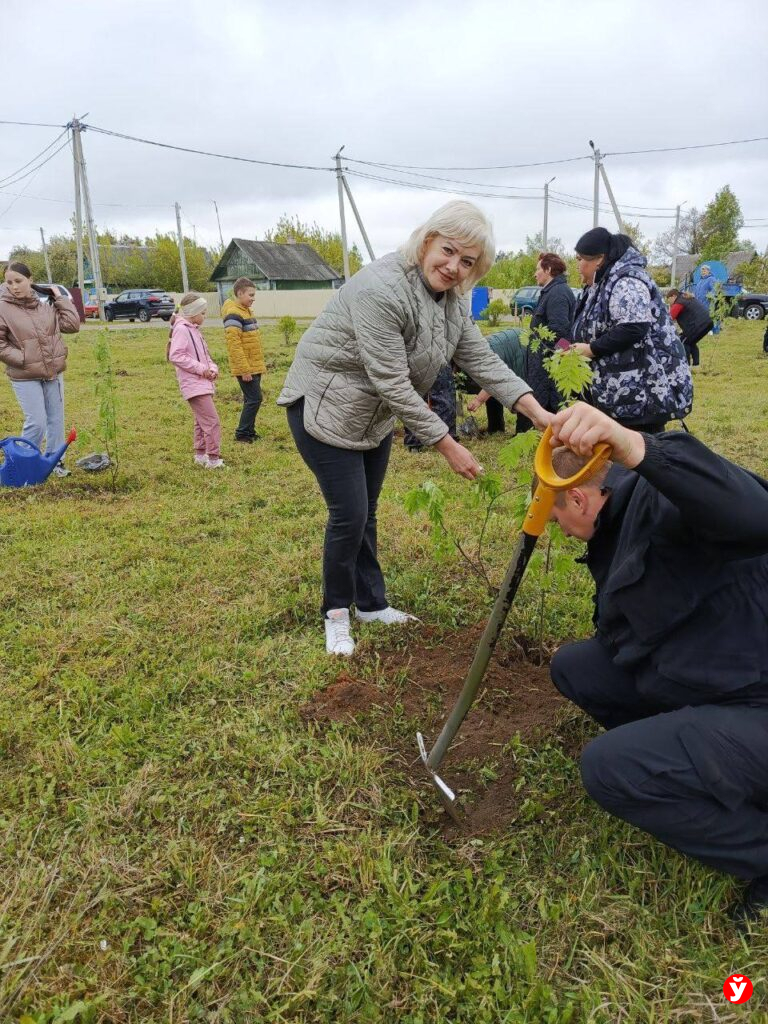 Крупки