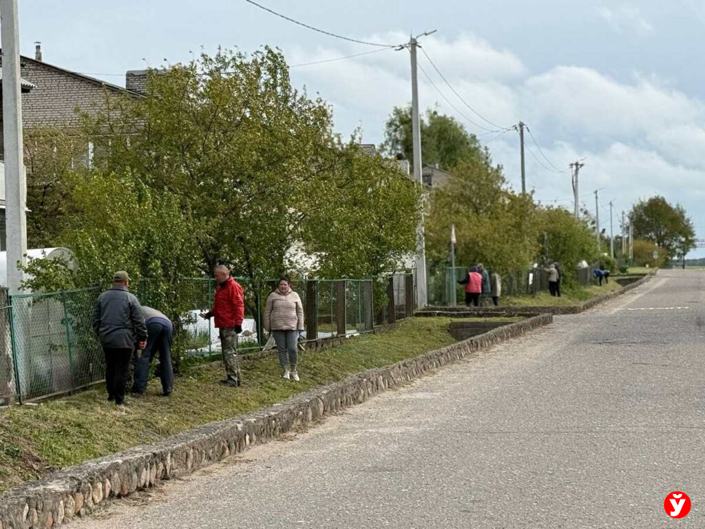 Столбцы