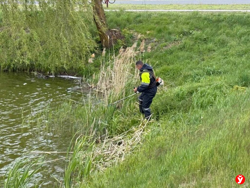 Столбцы