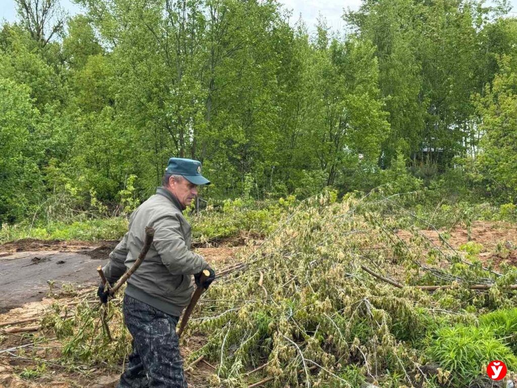 Березино