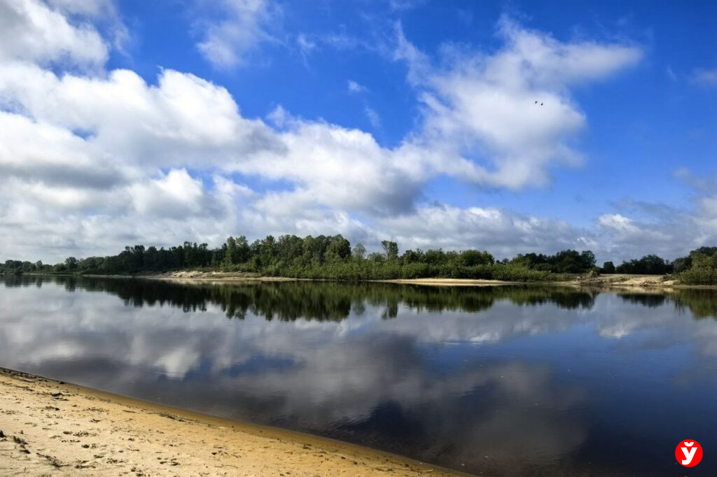 Погода в Беларуси 21 мая: без осадков и до +24°C на юге