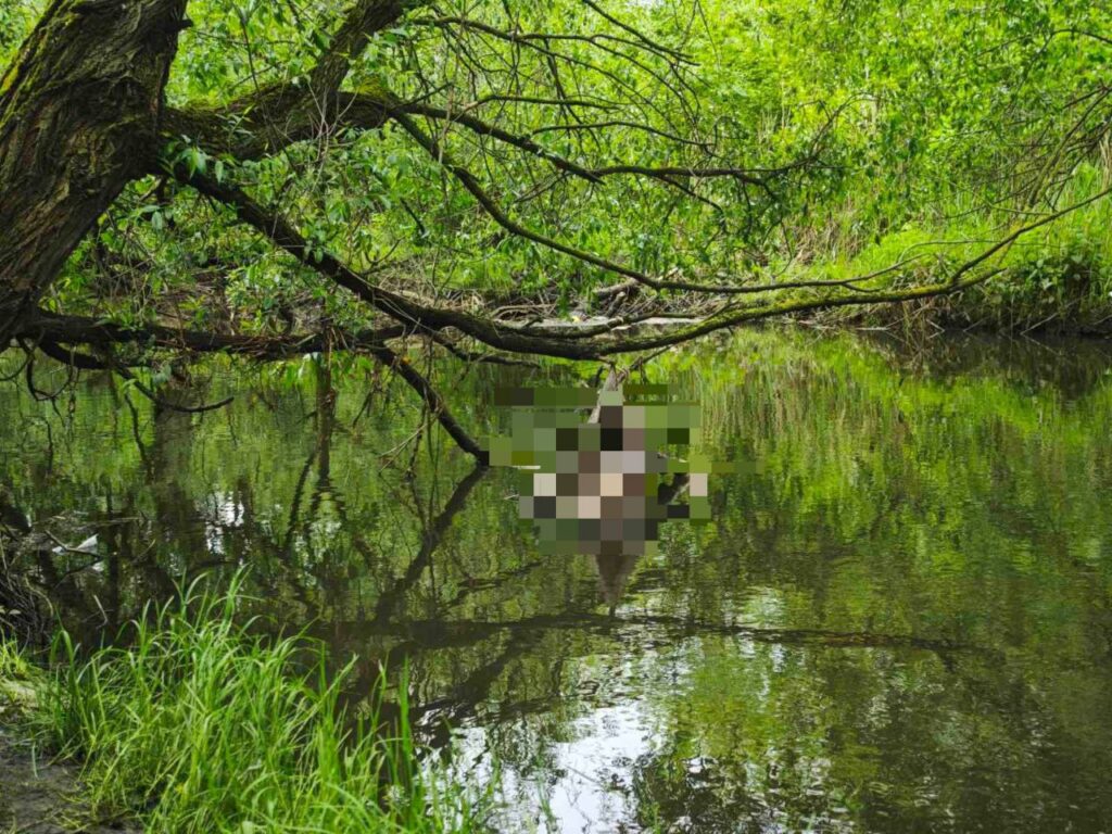 В Минске в реке Лошица утонула девушка