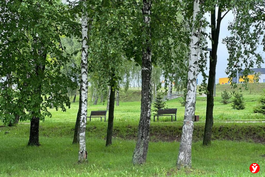Парк, велодорожки и водохранилище. Посмотрели, как преображаются Смолевичи