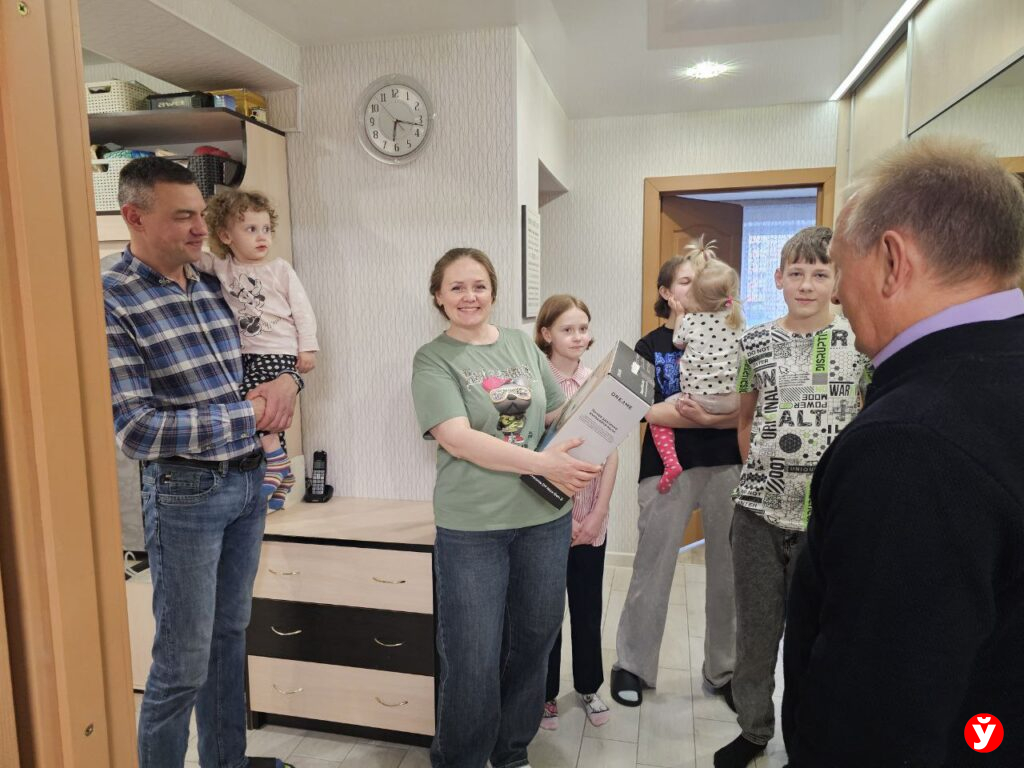 Борисов, многодетная семья и пылесос