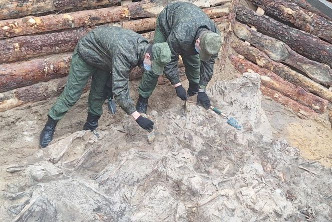 В Ветковском районе обнаружено массовое захоронение жертв нацистов: найдены останки 36 человек