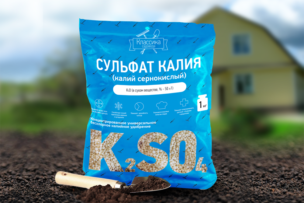 Какие сигналы растений помогут спланировать правильный уход