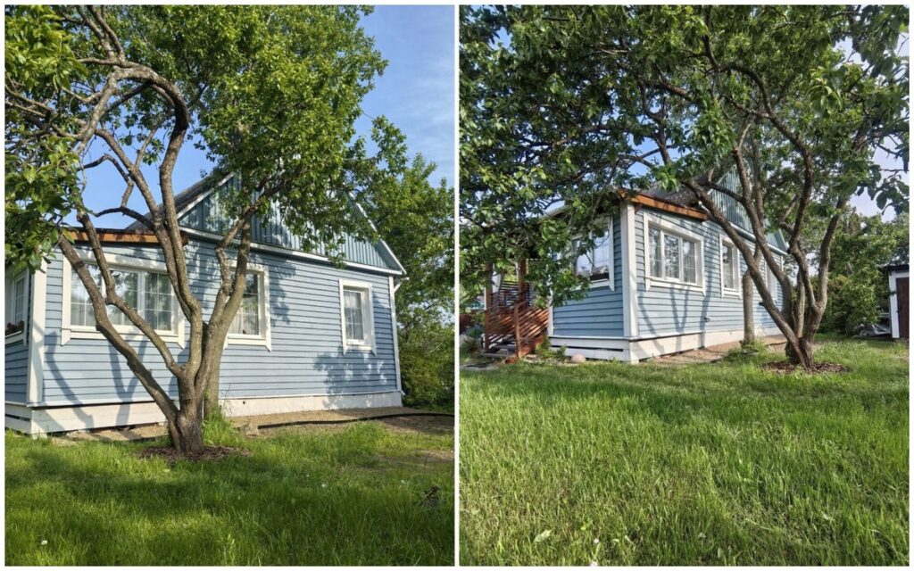 Смотрим уютную дачу недалеко от Минска. Рядом лес и удобная логистика
