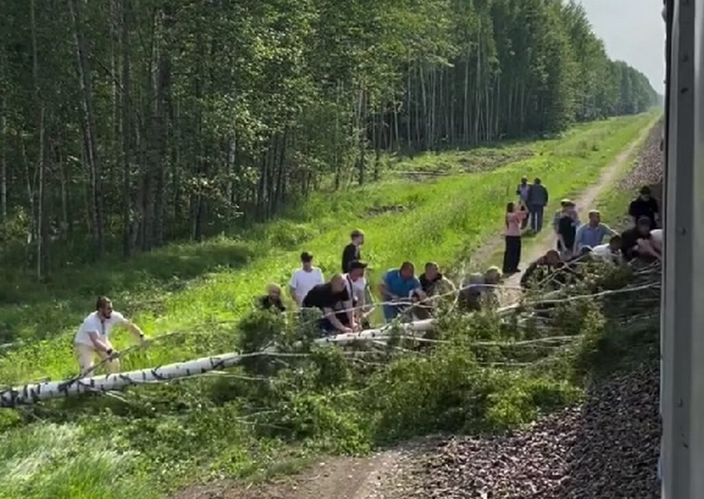 Пассажиры поезда помогли убрать дерево, упавшее на железнодорожные пути — ролик завирусился в сети