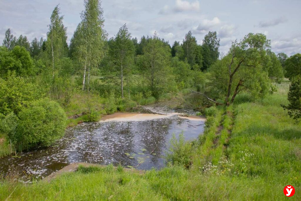 Логойск, художник-самоучка