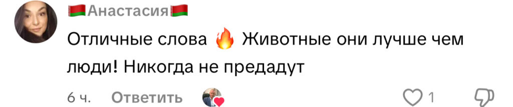 комментарий