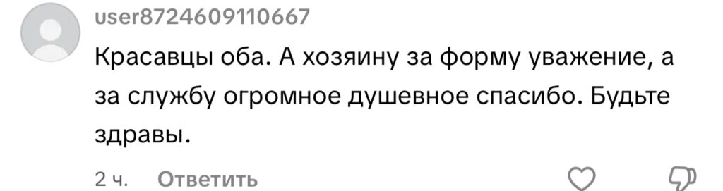 комментарий