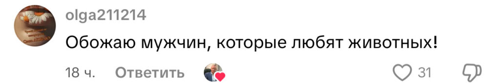 комментарий