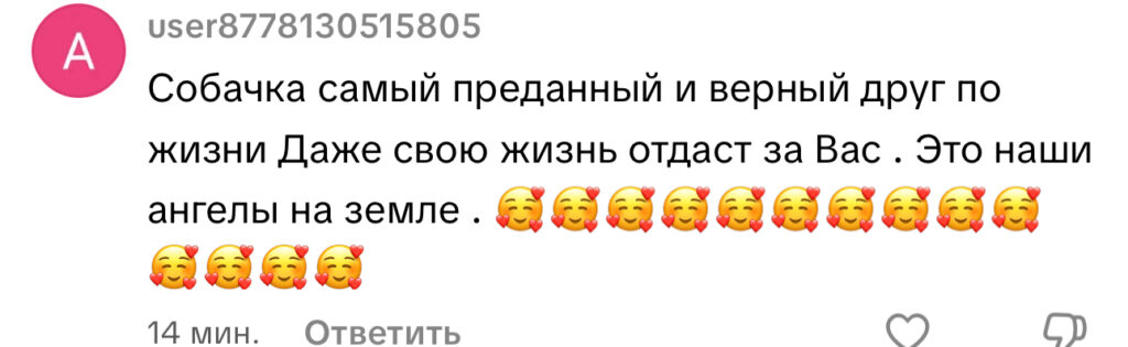 комментарий