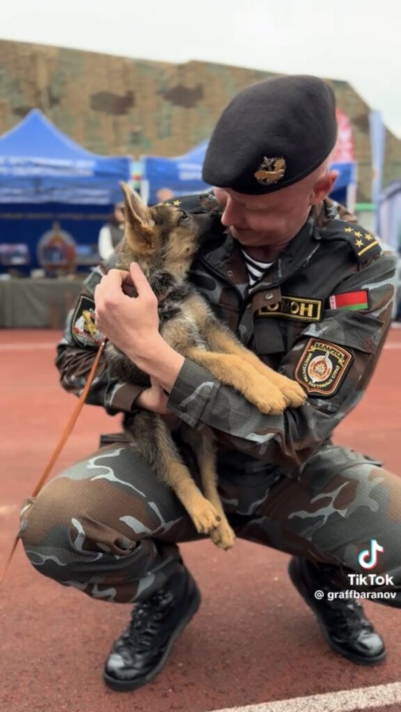 щенок