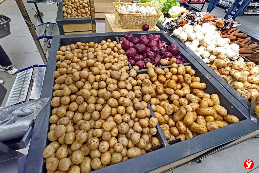 Картофель нового урожая скоро появится в белорусских магазинах