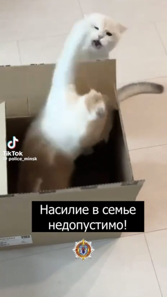 домашнее насилие